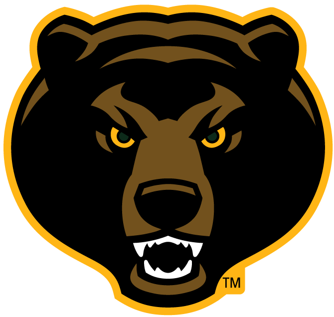 Baylor Bears 2005-Pres Alternate Logo v6 DIY iron on transfer (heat transfer)